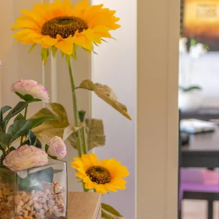 Casa Pilar Apartment Alcudia (Mallorca)